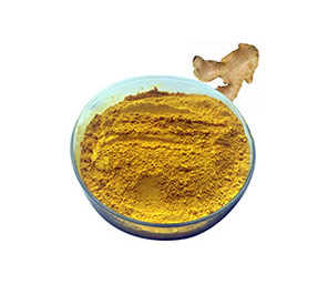 Ziziphi Spinosae Semen Extract